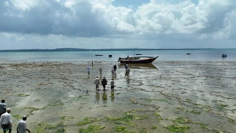 Local Community Walking Toward a Stranded Boat at Low Tide, January 21, 2025, Video stock 336895666