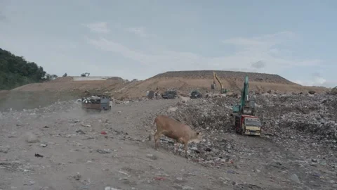 Local dump truck passing Stock Footage 201357768