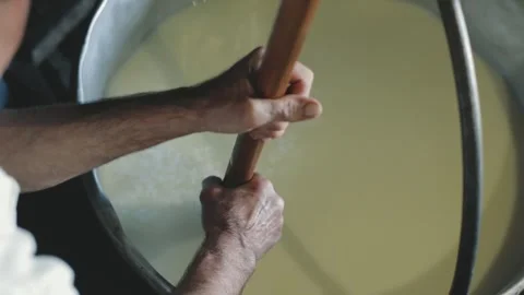 Local farm-to-table cheese crafting scene Stock Footage 307136236