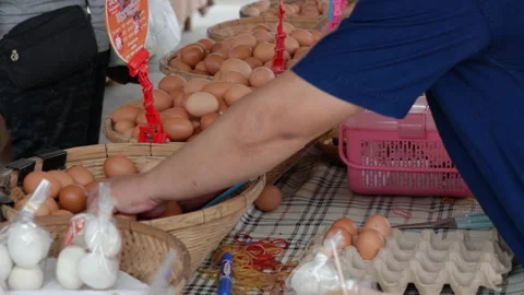 Local farmer putting chicken eggs in egg carton Stock Footage 244380475