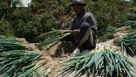 Local farmers Stock Photos