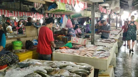 Local fish market Stock Footage 87137361