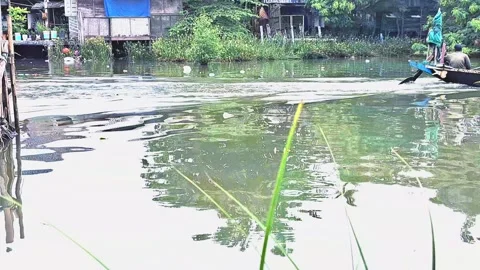 Local fisherman Video stock 303520173