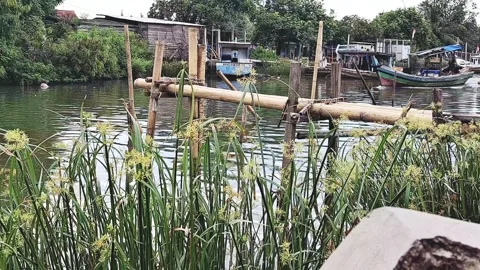 Local fisherman Video stock 303520186
