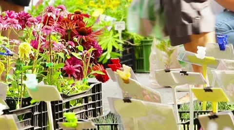 Local flower market Stock Footage 11866836