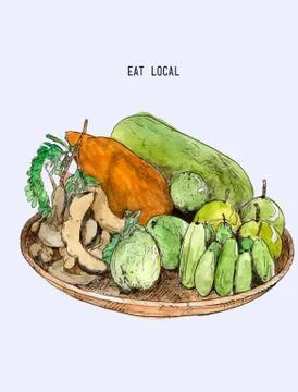 Local fruit in Basket, vector. Stock Illustration