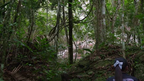 Local Guide Navigating Dense Rainforest Terrain Stock-Footage 336520639