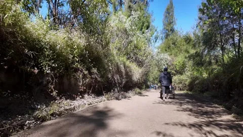 Local Guide Pulling Trolley Down Volcanic Slope Trail Vidéo 345155966