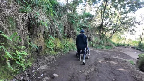Local Guides Pulling Tourist Carts Down Volcano Trail Stock Footage 345199171