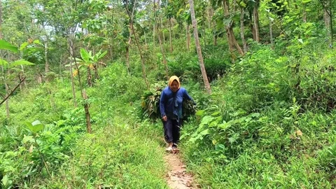 A local Indonesian farmer. Stock Footage 321940751