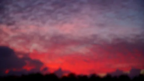 A local islander blows a conch shell during sunset on a scenic tropical island i Stock Footage 72332930