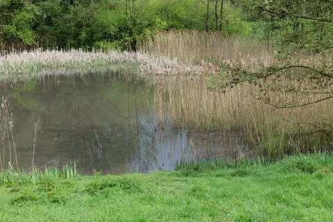 Local Lake Stock Photos