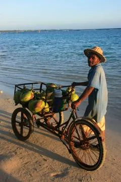 Local man selling coconuts at boca chica beach 스톡 사진