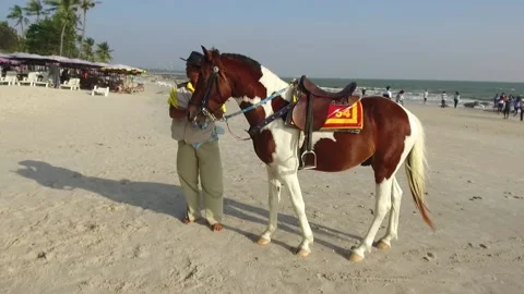 Local Man taking care of his Horse on the Beach in Hua Hin, Thailand Stock Footage 130699920