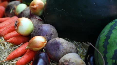 Local market vegetables, watermelon, beetroot, onions, carrot, eggplant, garlic. Stock Footage 202141256