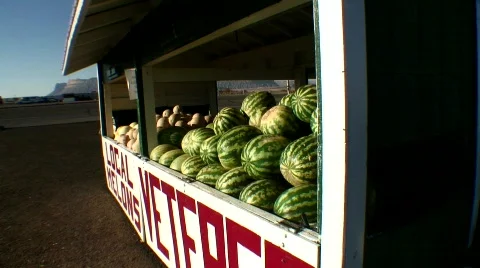 Local melon produce stand Vídeo Stock 543838