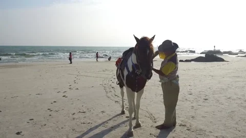 Local Men preparing their Horses on the Beach, Hua Hin, Thailand Stock Footage 130699889