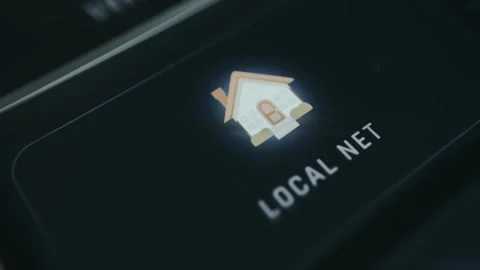 Local Network concept illustrated with a house icon Stock Footage 335865282