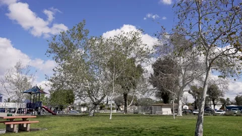 Local park, slow motion Stock Footage 234238215
