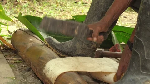 Local people in the Amazon jungle prepare textile paints from natural plants Stock Footage 259148015
