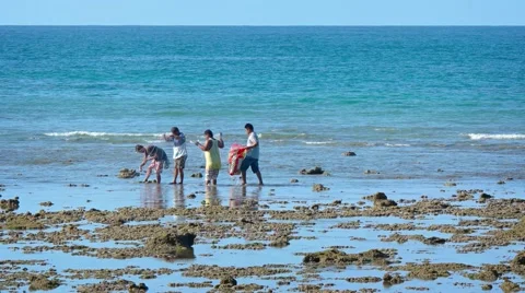 Local people catching small fish at low tide. Video UltraHD Stockbeeldmateriaal 61461851