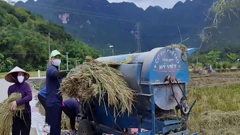 Local People Use Threshing Machine in Mai Chau Stock Footage 340614107