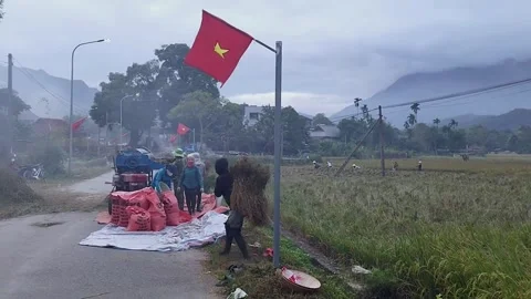 Local People Use Threshing Machine in Mai Chau Stock Footage 340614111