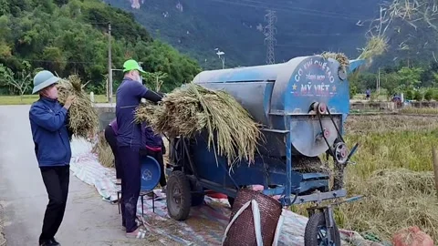 Local People Use Threshing Machine in Mai Chau 動画素材 340614136
