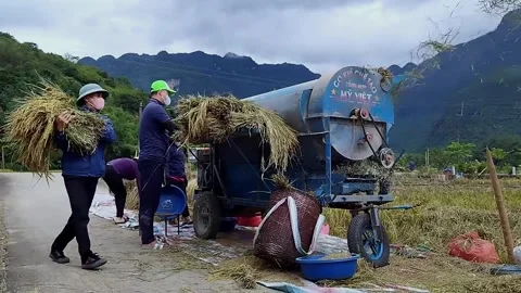 Local People Use Threshing Machine in Mai Chau Stock Footage 340637715