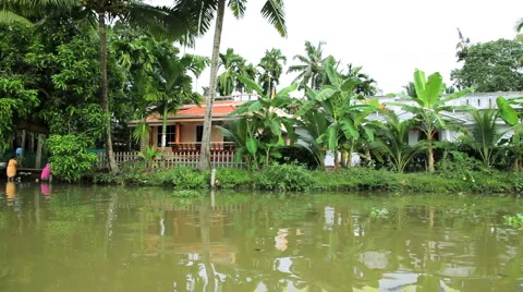 Local people washing on the river bank, Kerala backwaters, Kerala, India Stock Footage