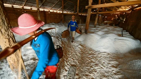 Local people working in the salt fields in the Kampot, Cambodia, Asia. Stock Footage 131044295