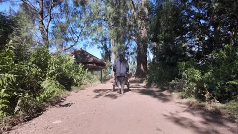Local Porter Pushing Trolley Along Forest Trail Stock Footage 345145032