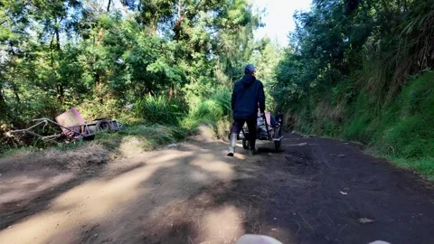 Local Porters Pulling Trolleys Through Ijen Forest Trail Vidéo 345155910