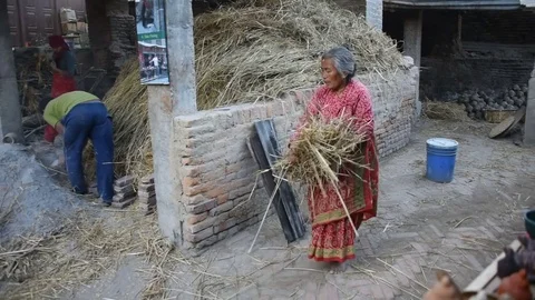 Local Potters prepare to fire clay by stacking hay on top of pots Stock Footage 79838870
