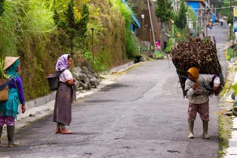 Local residents in the area of Mount Merapi carry out their usual activities, Stock Photos