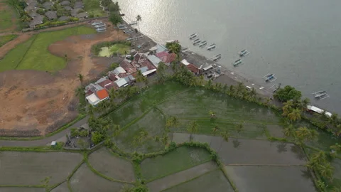 Local Rice Fields Near The Ocean Boats Moored In Buleleng North Bali Indonesia Видео 345013815