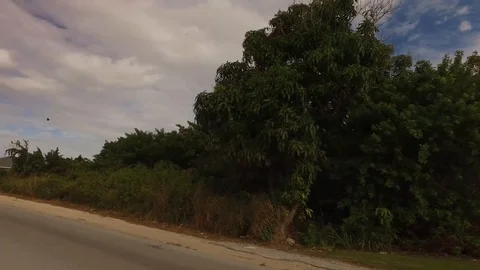 Local Road Drive Through Eight Mile Rock Community, Bahamas Stock Footage 99913479