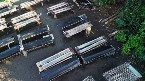 Local Salt Farmer Working Across Traditional Wooden Evaporation Beds Aerial Stock Footage 344058978