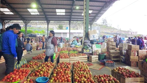 Local Sellers Offering Tomato At Local Market Stock Footage 88336853