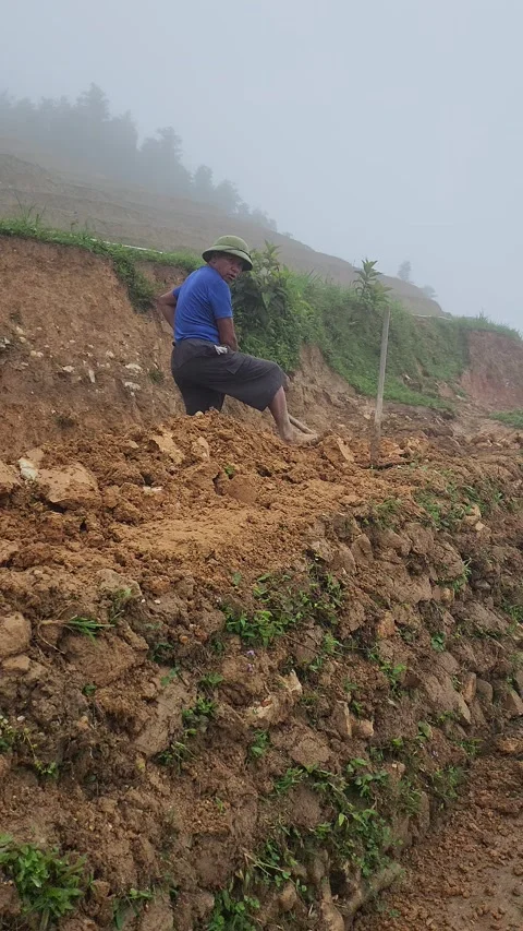 Local Smiling While Working in Rice Field – Sapa, VIETNAM – 2024/06/06 Stock Footage 319795487