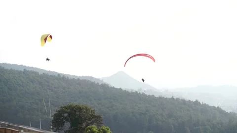Local tourists enjoy skydiving Vidéo 263468804