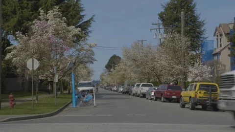 Local traffic on treet intersection. Vídeos de archivo 128199426