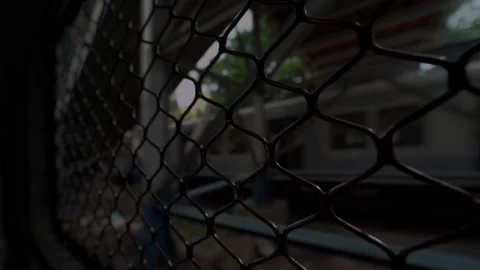 Local train travel view Stock Footage 137564529