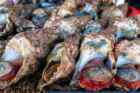 Local vendors display an array of seafood, featuring various shellfish and fr Stock Photos