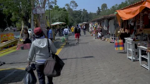 Local Vendors Preparing Shops For Busy Day In Xochimilco, Mexico City Stock Footage 154664999