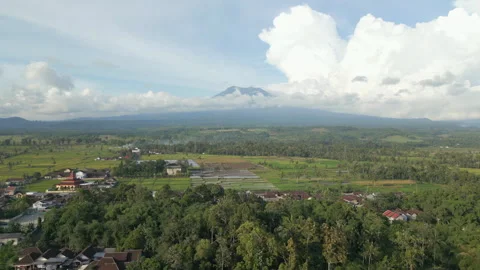 Local Villages And Rice Fields In The Shadow Of Raung Volcano East Java Video stock 345014083
