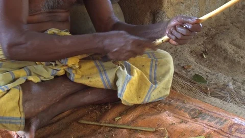 Local worker slashing and peeling cinnamon bark from a branch in Hikkaduwa. Stockbeeldmateriaal 89687941