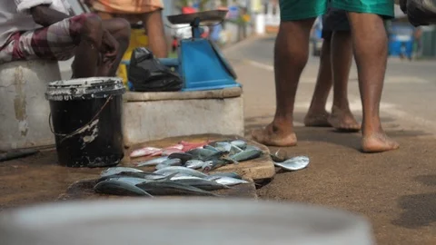 Locals pour fish caught in ocean onto wooden board at market Vidéo 127178809