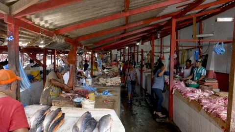 Locals work and shop in open air meat market Cartagena Video stock 109133471