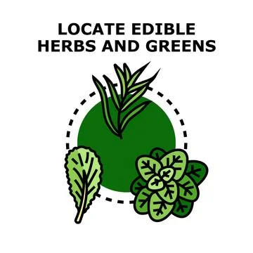 Locating edible herbs greens vector icon concept Ilustración de archivo
